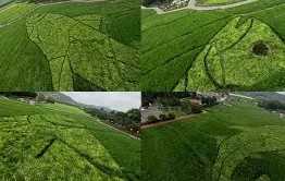 欧博网址 -?E鳡蔻鐵師(狄曼特王子x银月女王)