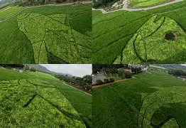 ?E鳡蔻鐵師(狄曼特王子x银月女王)